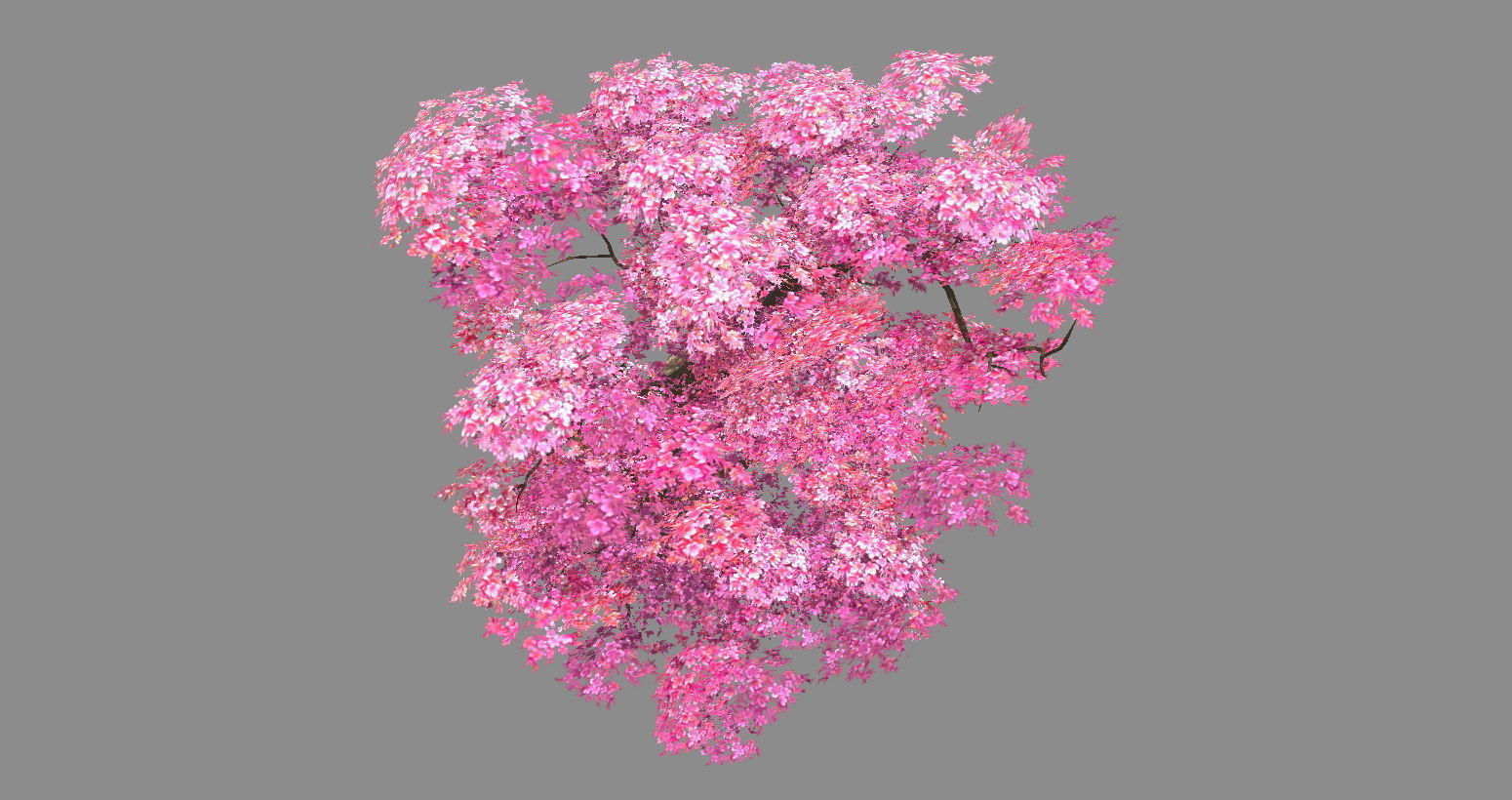 A peach blossom tree - big - Cherry blossom trees - sakura Low-poly 3D model_2