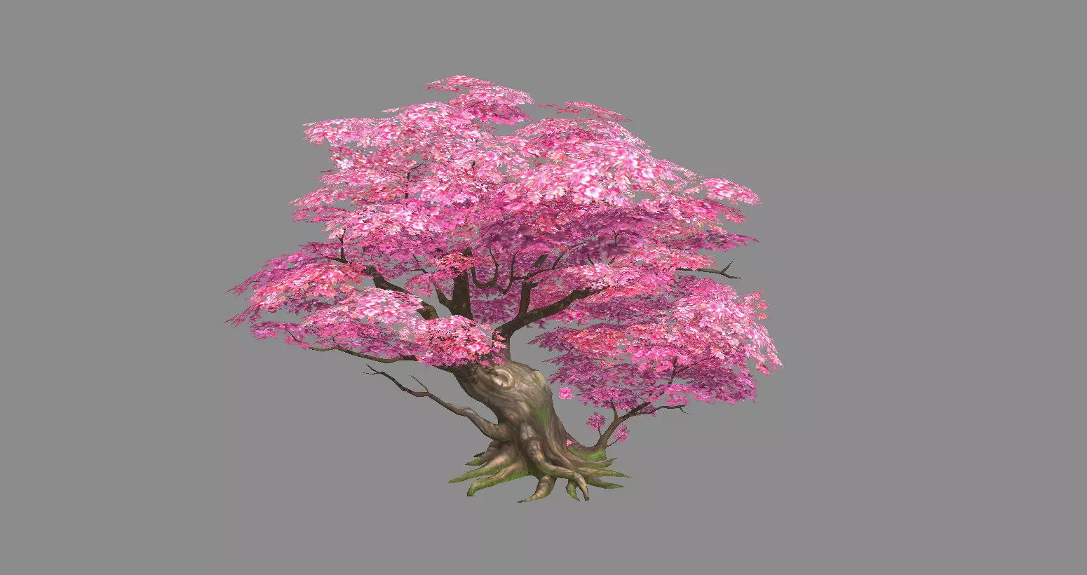 A peach blossom tree - big - Cherry blossom trees - sakura Low-poly 3D model_0