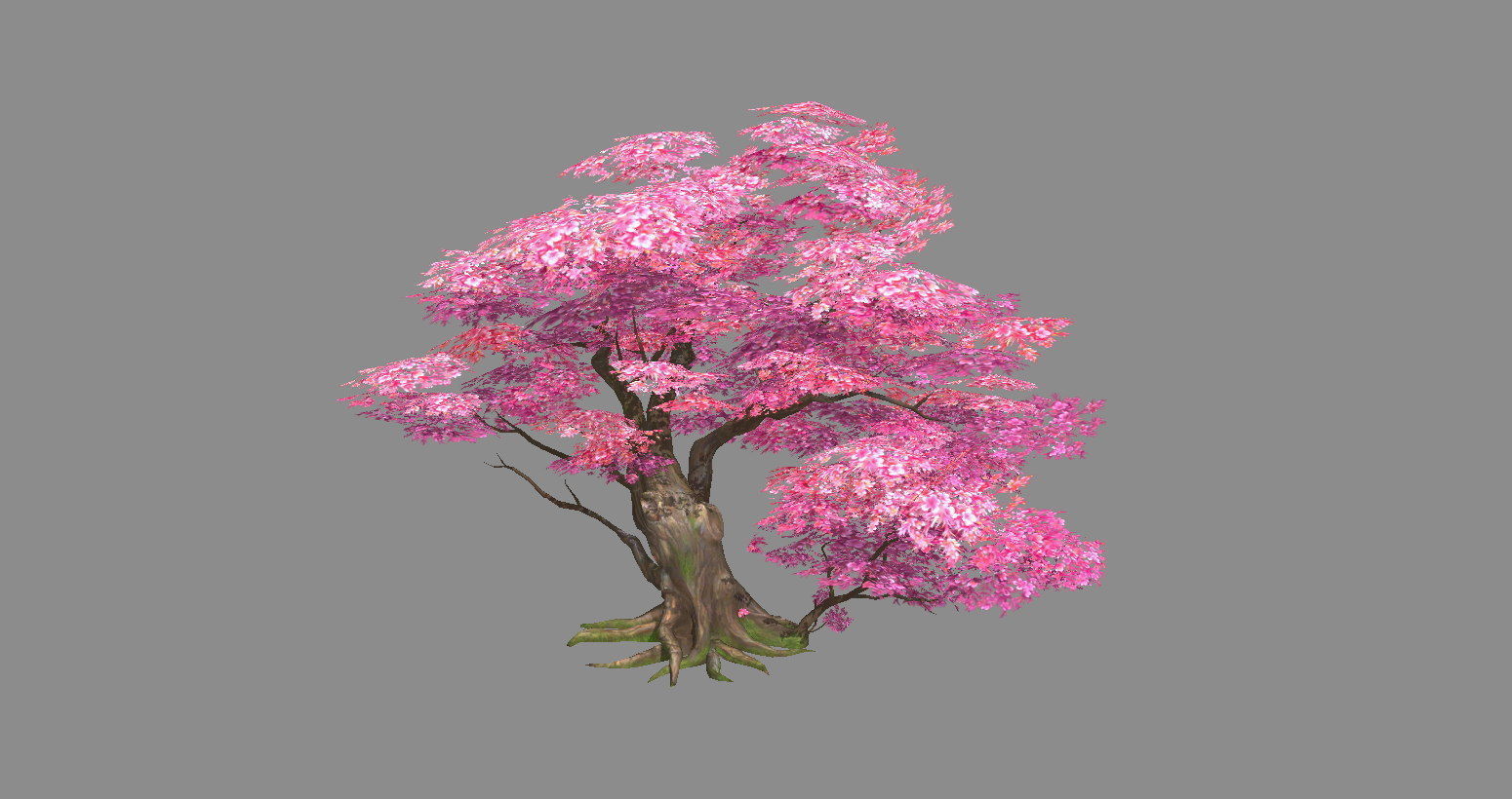 A peach blossom tree - big - Cherry blossom trees - sakura Low-poly 3D model_1