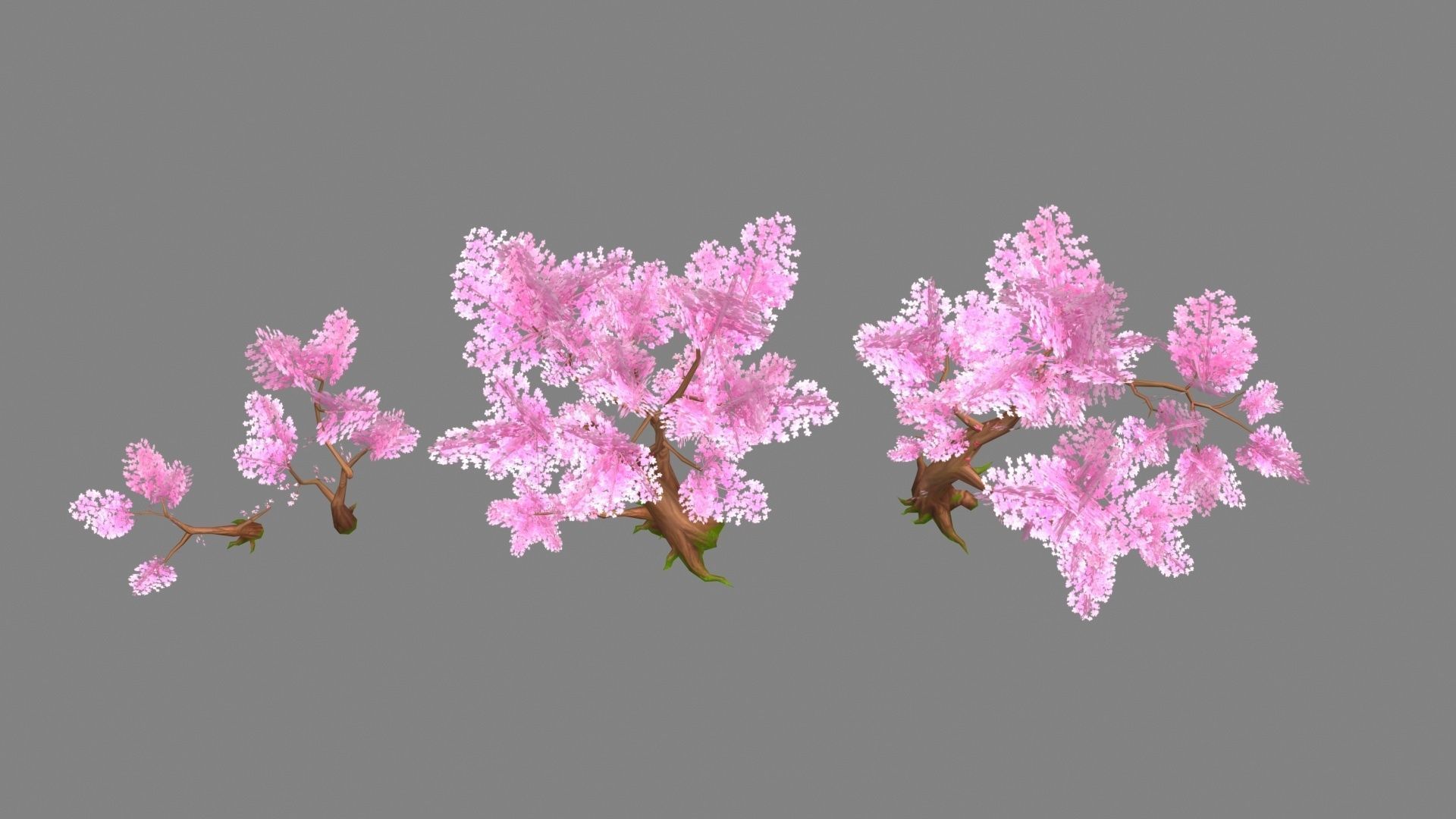 Four peach blossom trees - cherry blossom trees - sakura Low-poly 3D model_2
