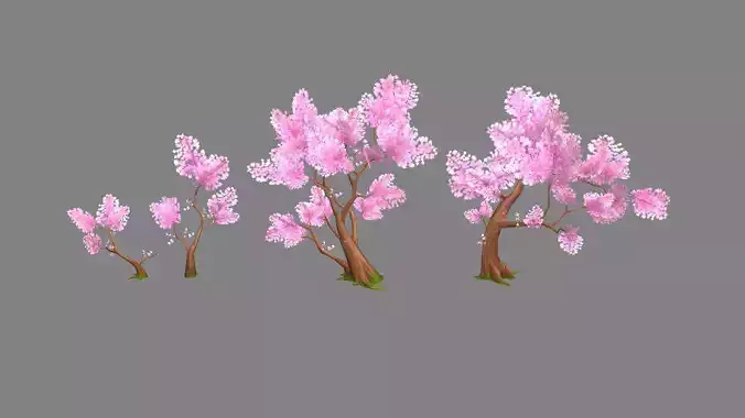 Four peach blossom trees - cherry blossom trees - sakura