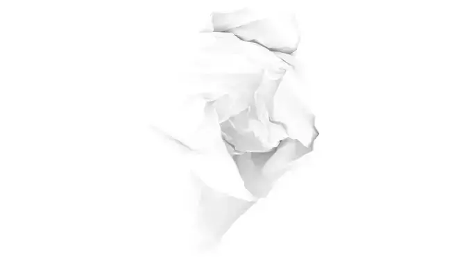 Crumpled Paper