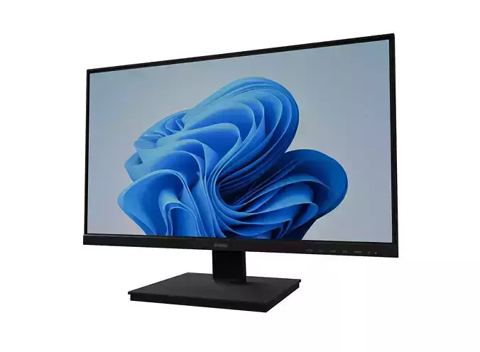 Monitor - iiyama PL2492H