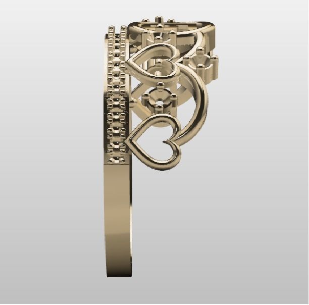 15 ring  3D model_4