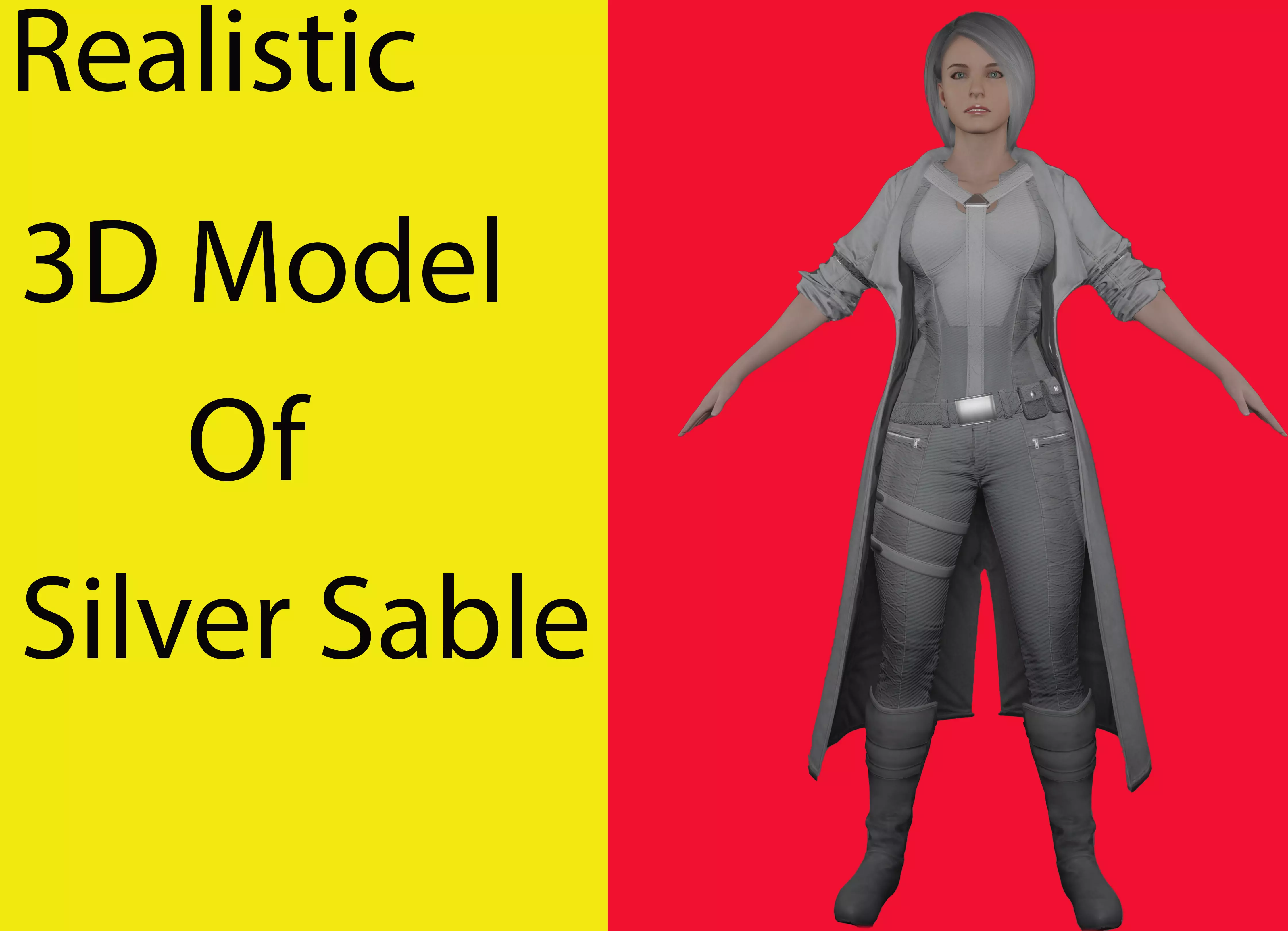 Silver Sable Low-poly 3D model