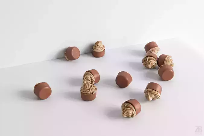 Praline 3D model
