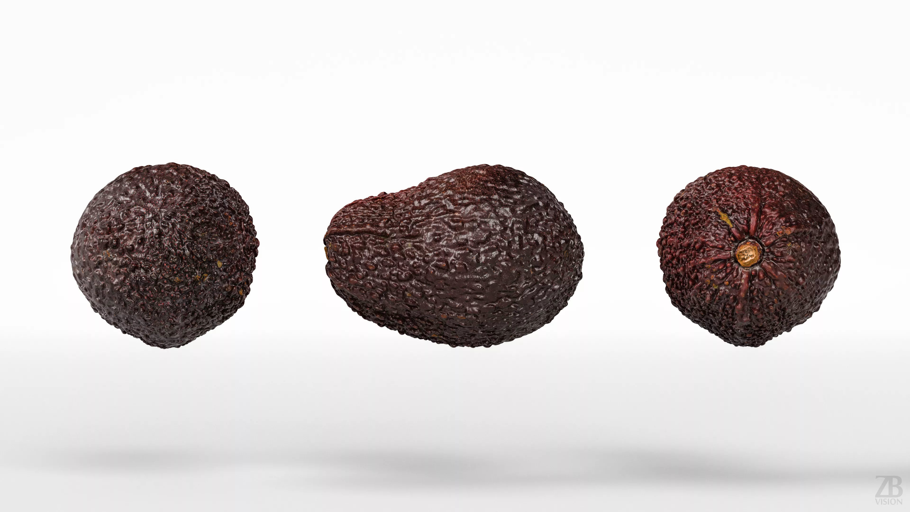 Avocado 3D model_4