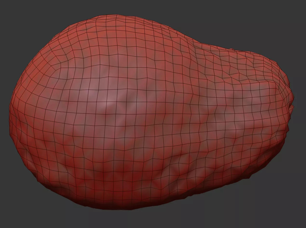 Avocado 3D model_6
