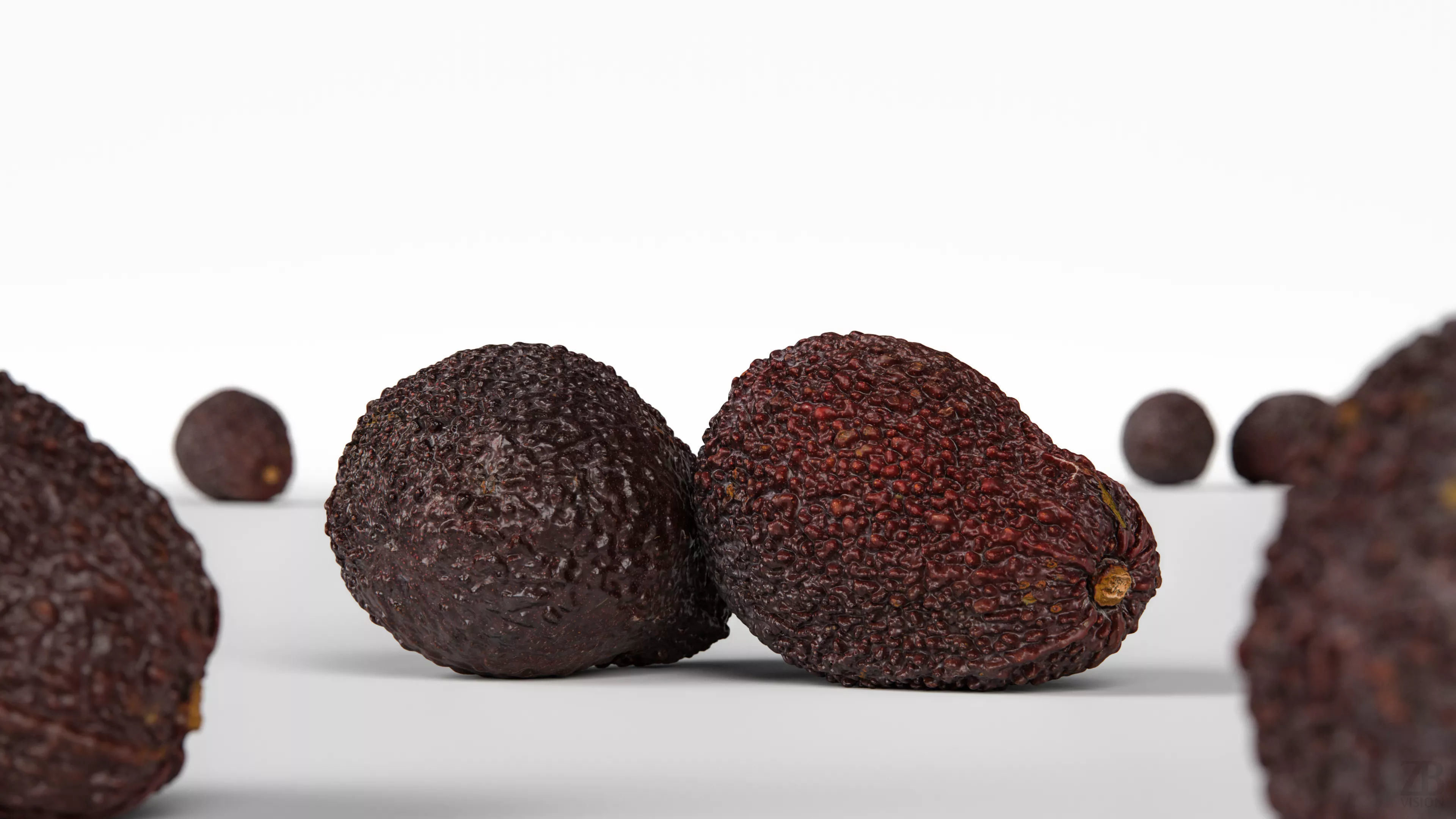 Avocado 3D model_1