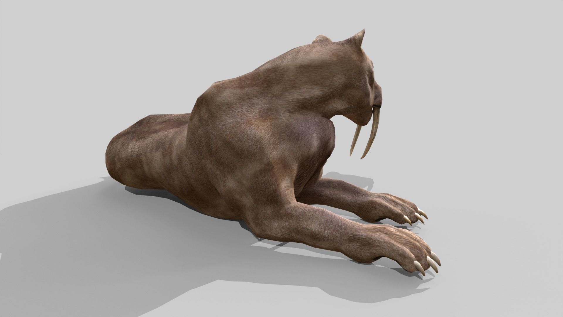Sabertooth Low-poly 3D model_8