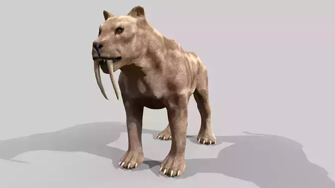 Sabertooth Low-poly 3D model