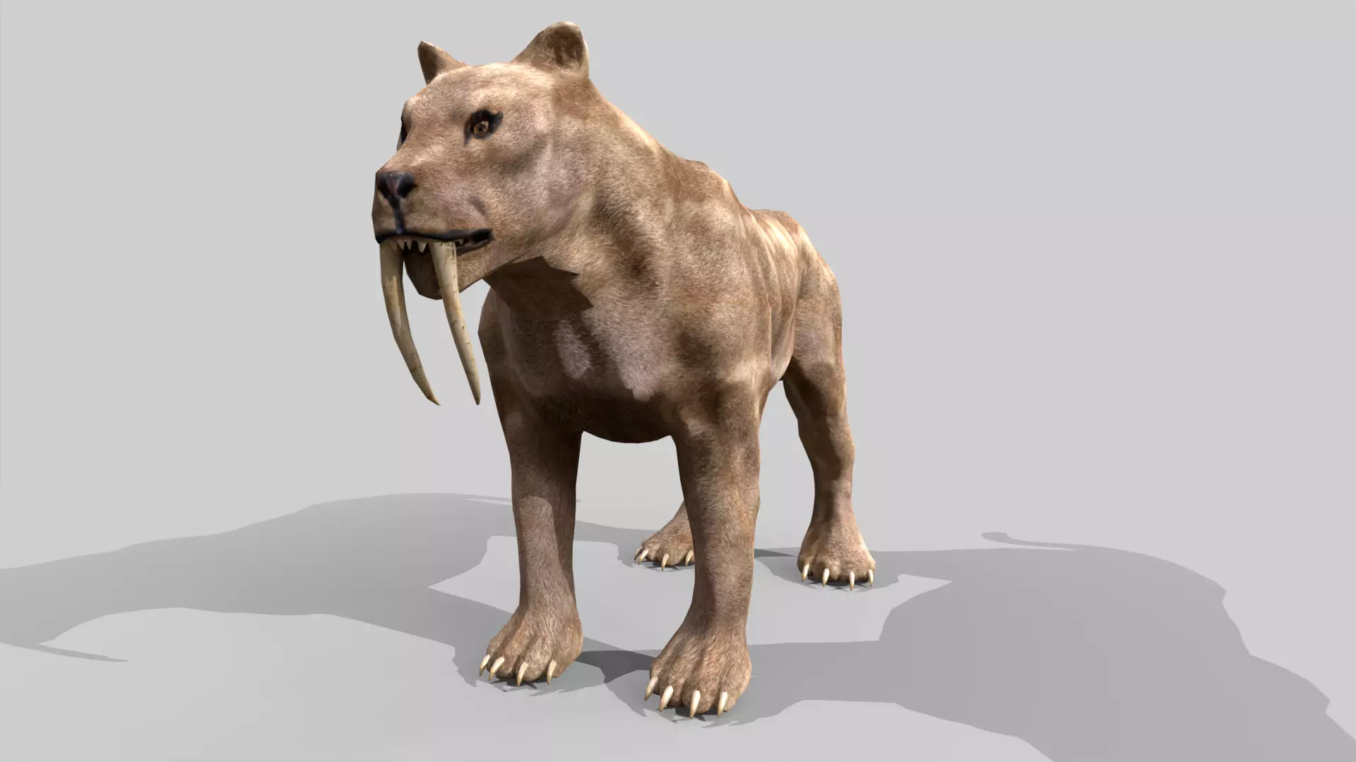Sabertooth Low-poly 3D model_0