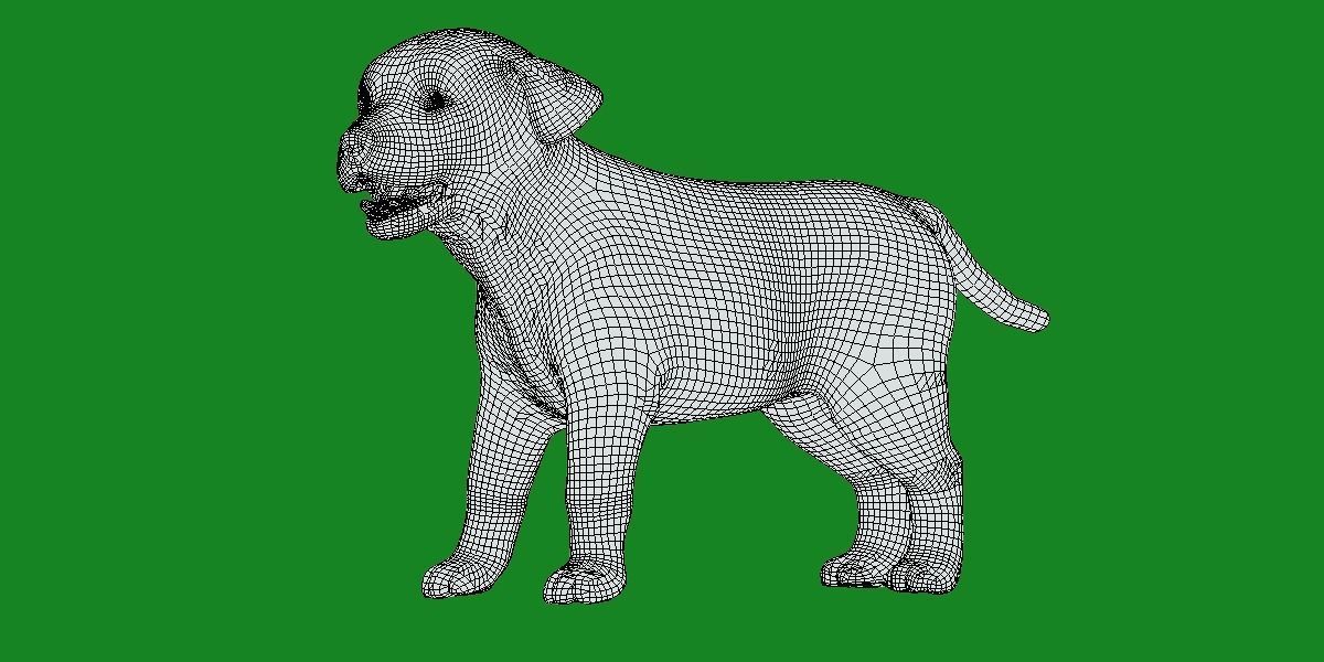 Labrador Retriever Puppy Dog Low-poly 3D model_16