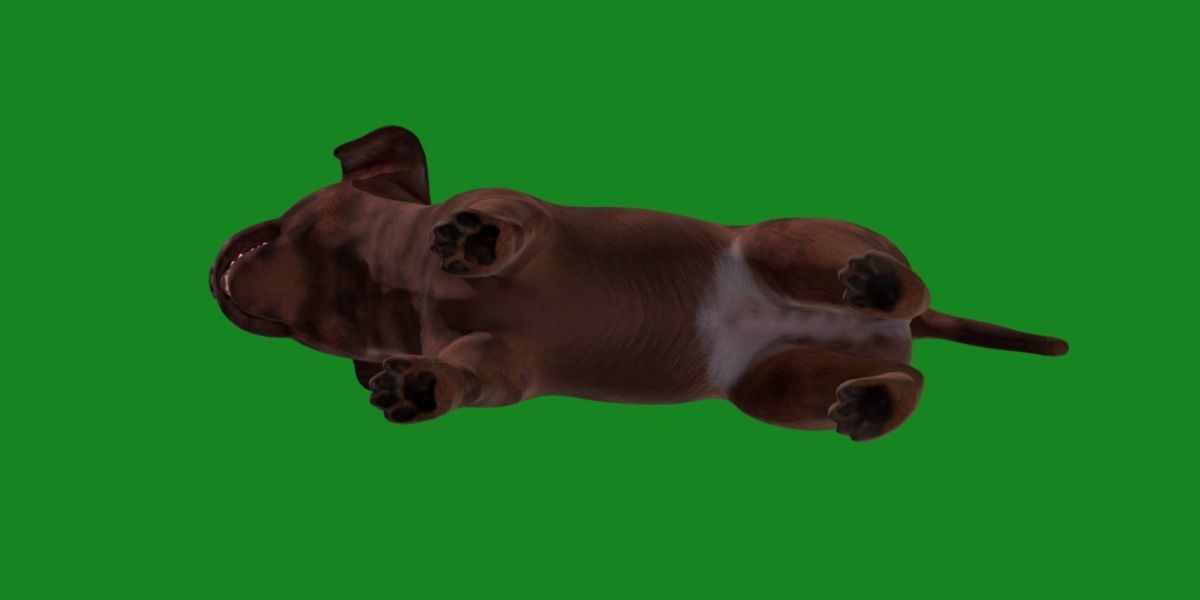 Labrador Retriever Puppy Dog Low-poly 3D model_23