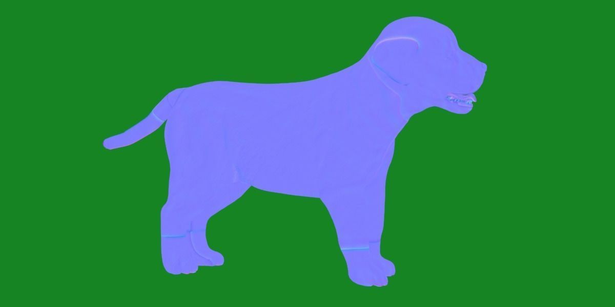 Labrador Retriever Puppy Dog Low-poly 3D model_29