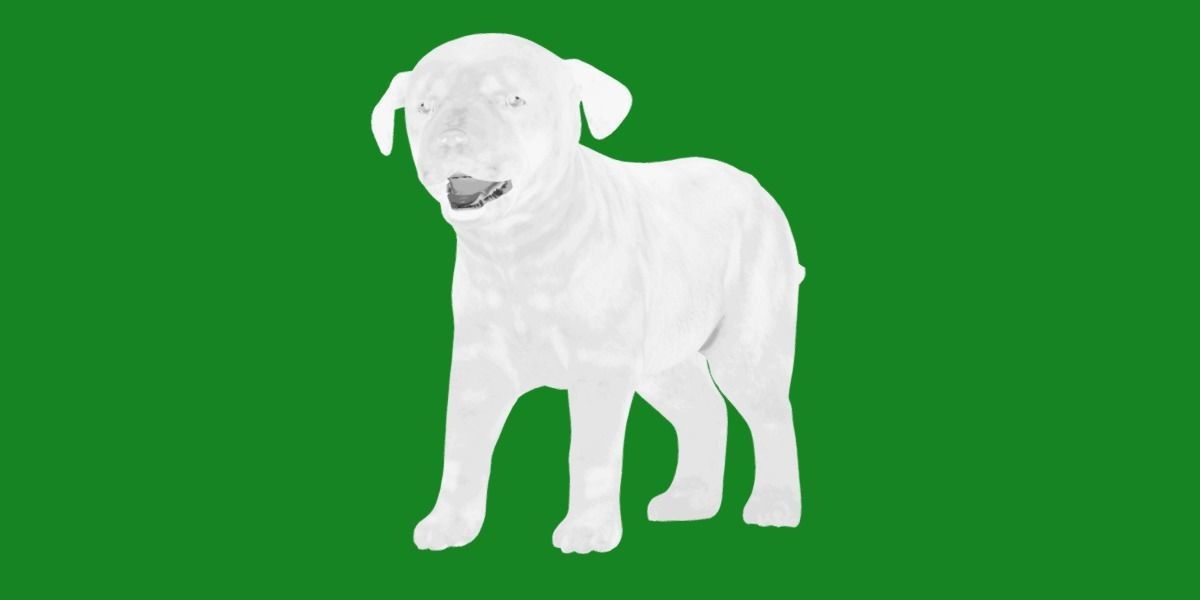 Labrador Retriever Puppy Dog Low-poly 3D model_30