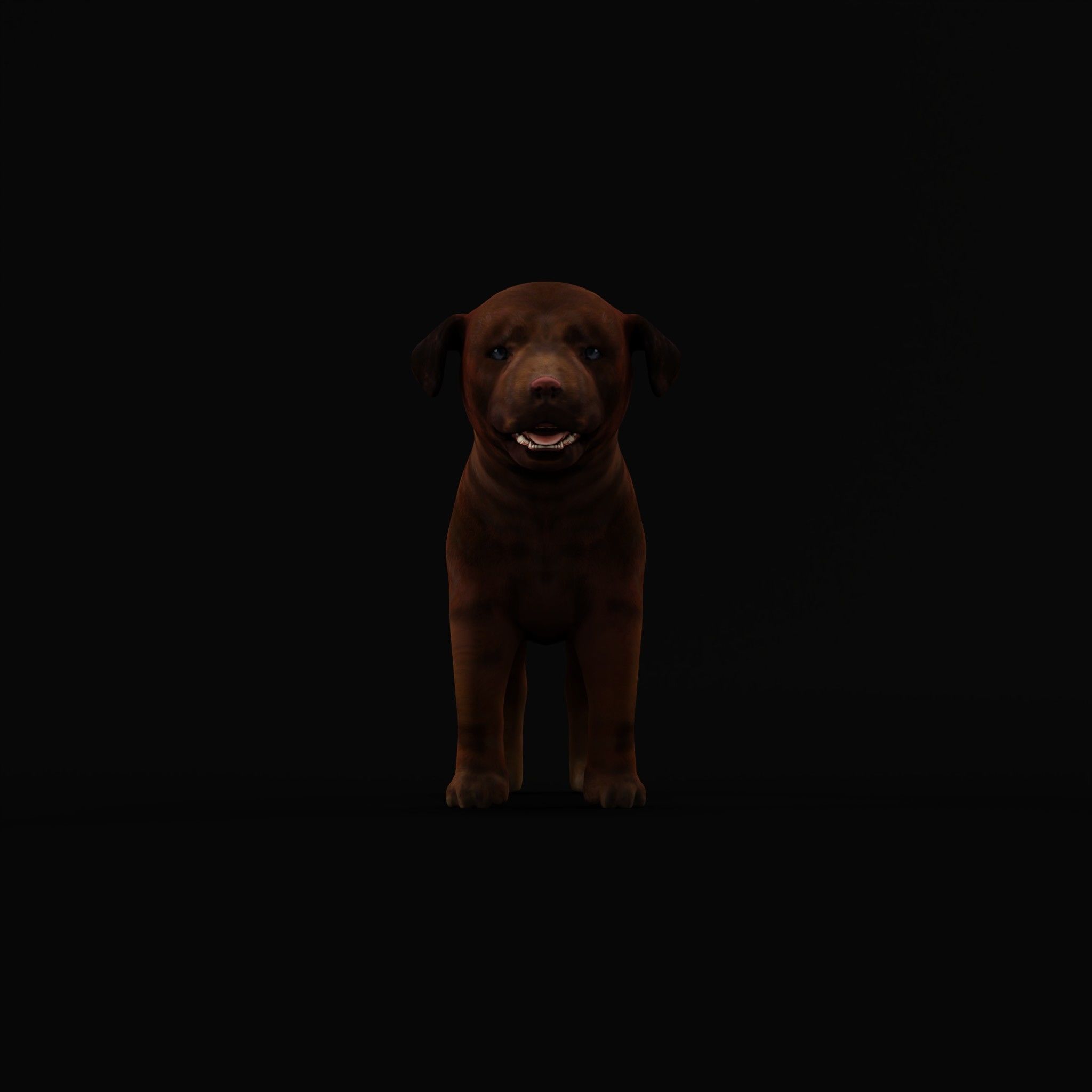 Labrador Retriever Puppy Dog Low-poly 3D model_4