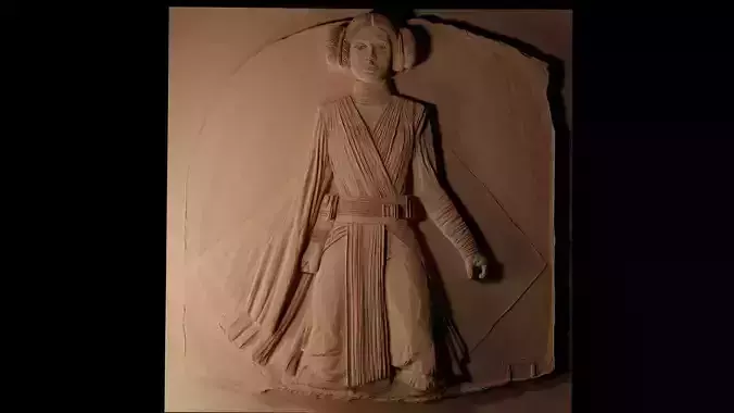 Princess Leia Star Wars CNC 3d Print High Relief Sand Casting