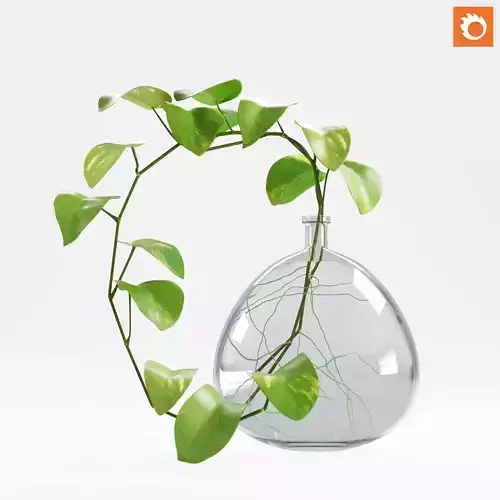 Decorative Plant 01 - ORGANIKA