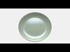 COLOUR CLEAR Plate Low-poly 3D model_1