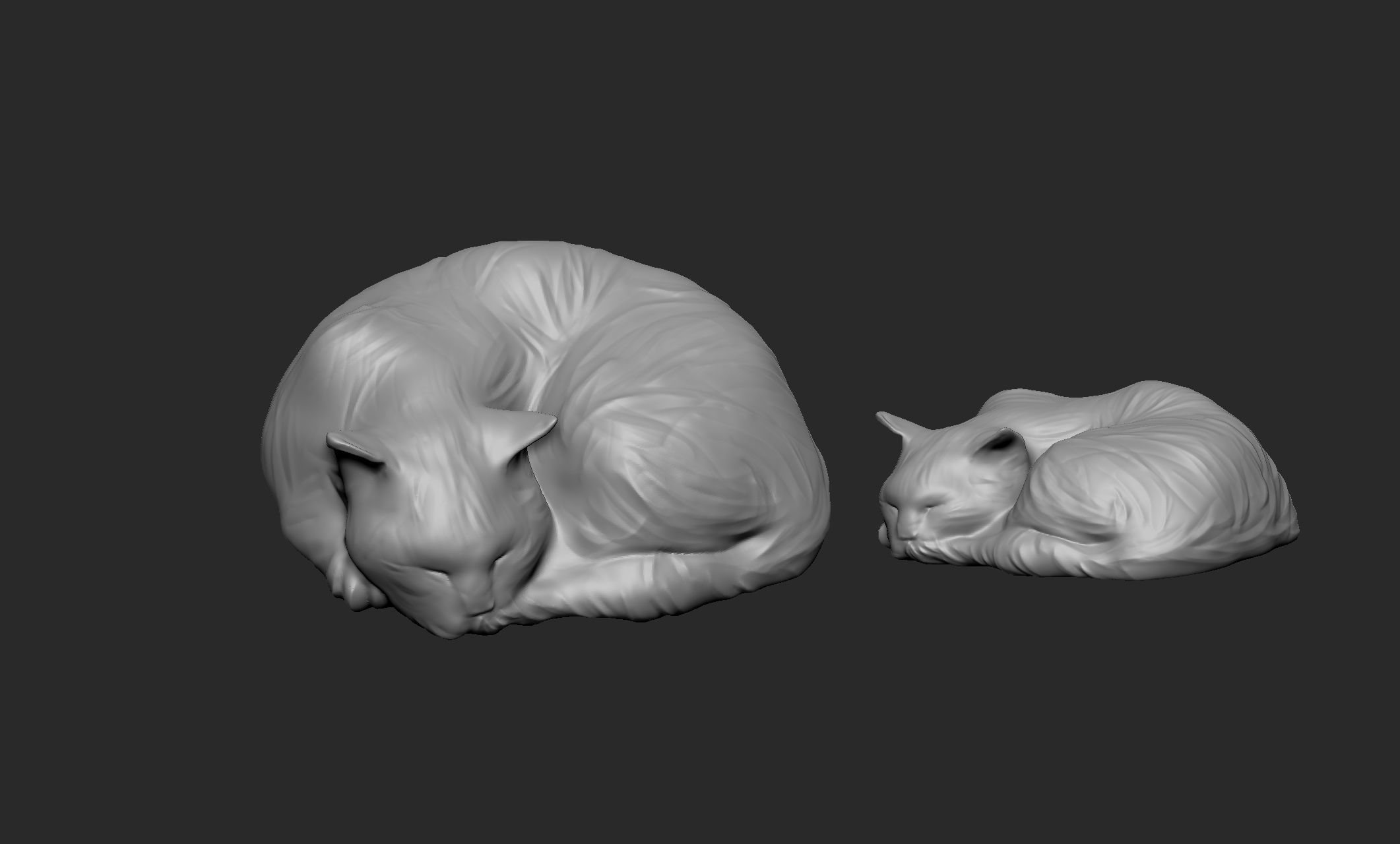 sleeping cat 3D model_3
