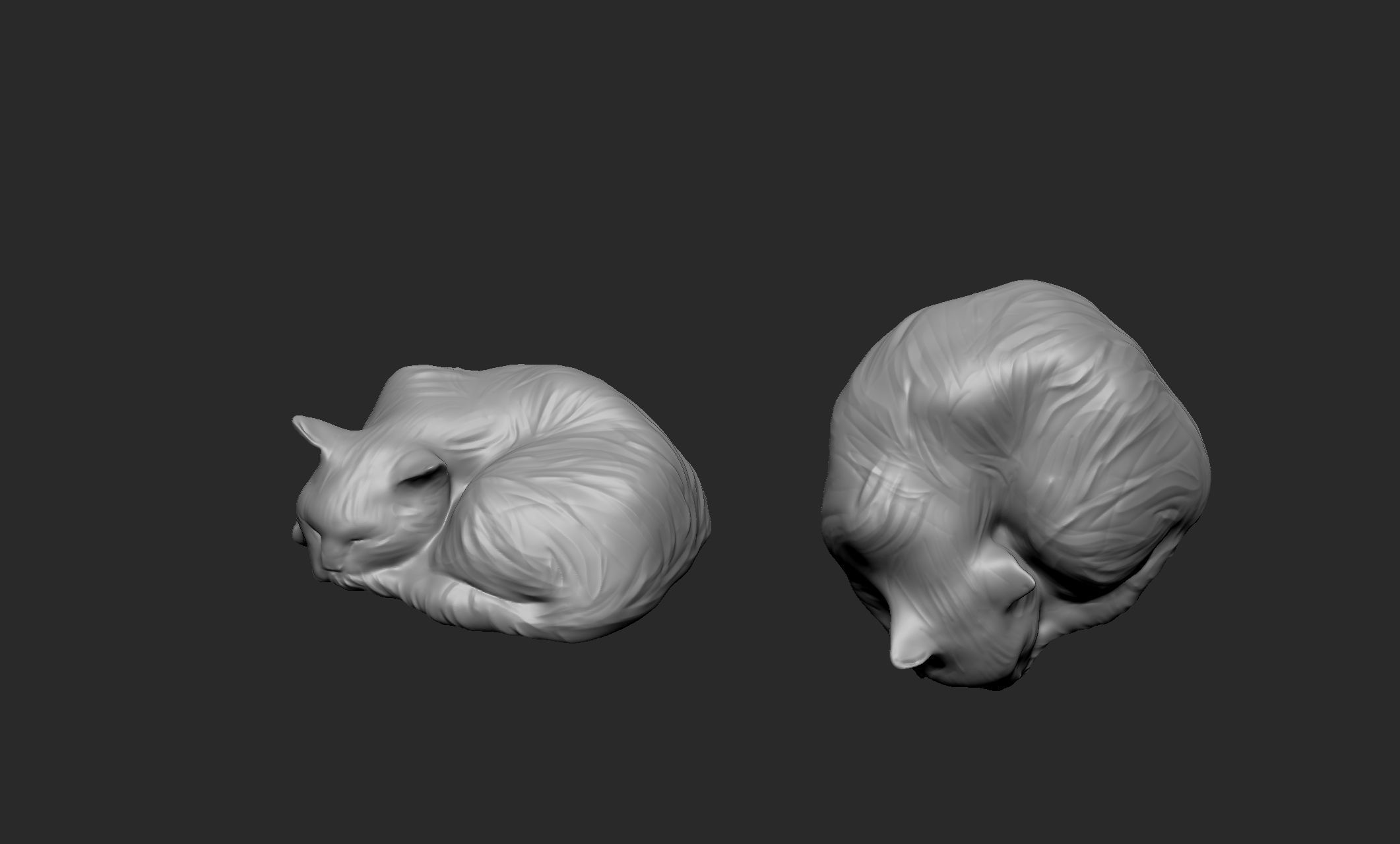 sleeping cat 3D model_4
