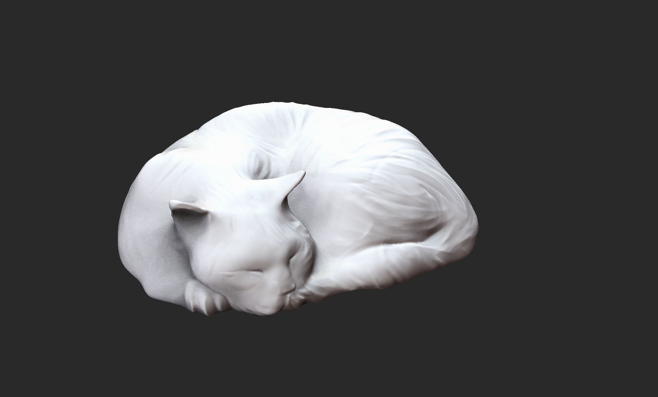 sleeping cat 3D model_5
