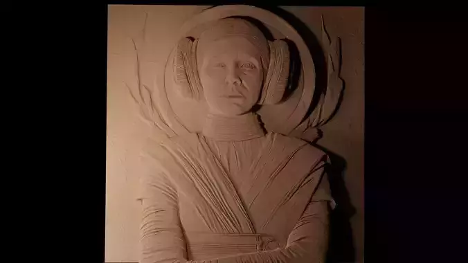 Leia Organa Star Wars CNC 3d Print High Relief Sand Casting