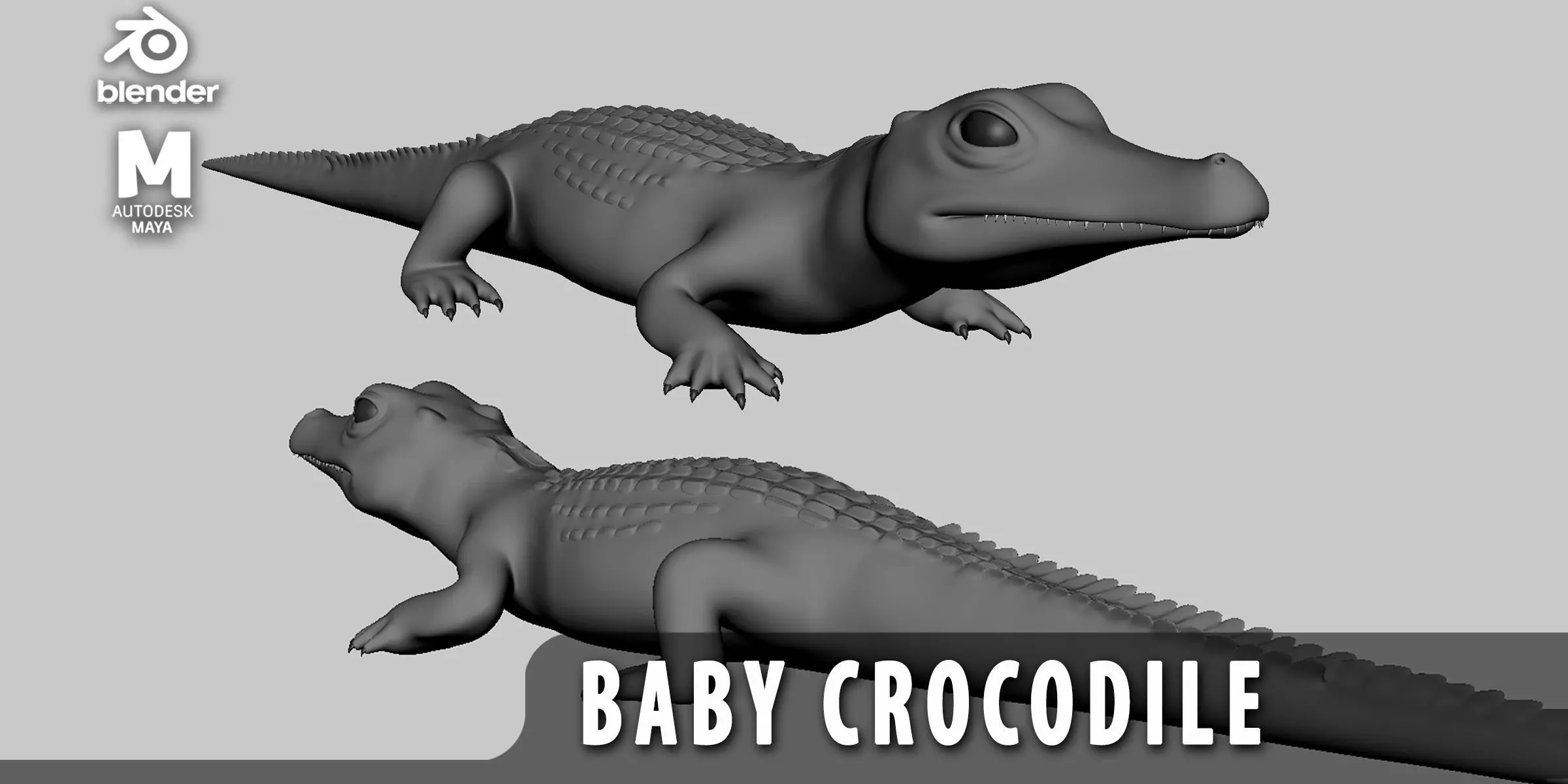 Baby Crocodile Low-poly 3D model_0