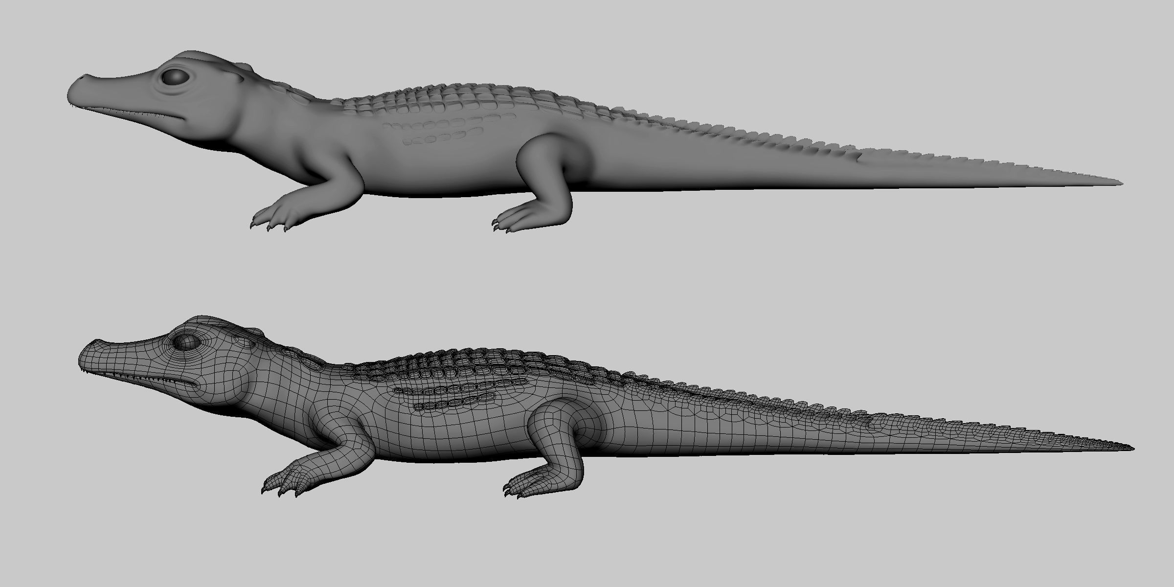 Baby Crocodile Low-poly 3D model_2