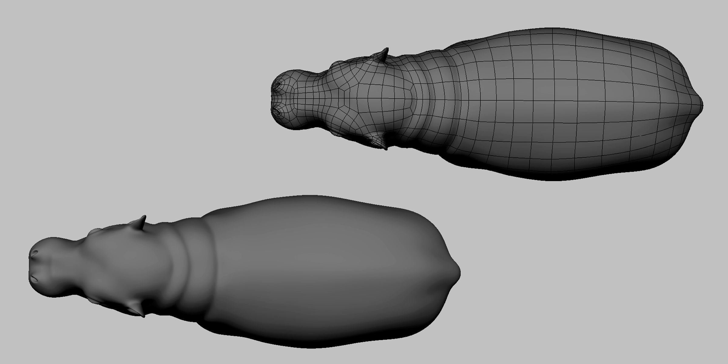 Baby Hippopotamus Low-poly 3D model_4