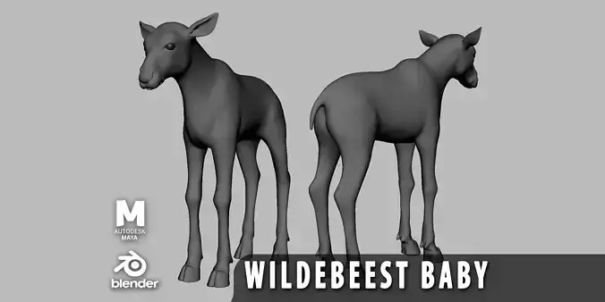 Baby Wildebeest Low-poly 3D model