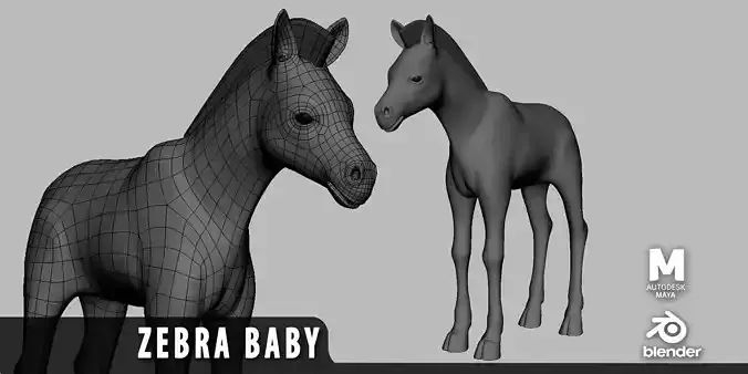 Baby Zebra Low-poly 3D model