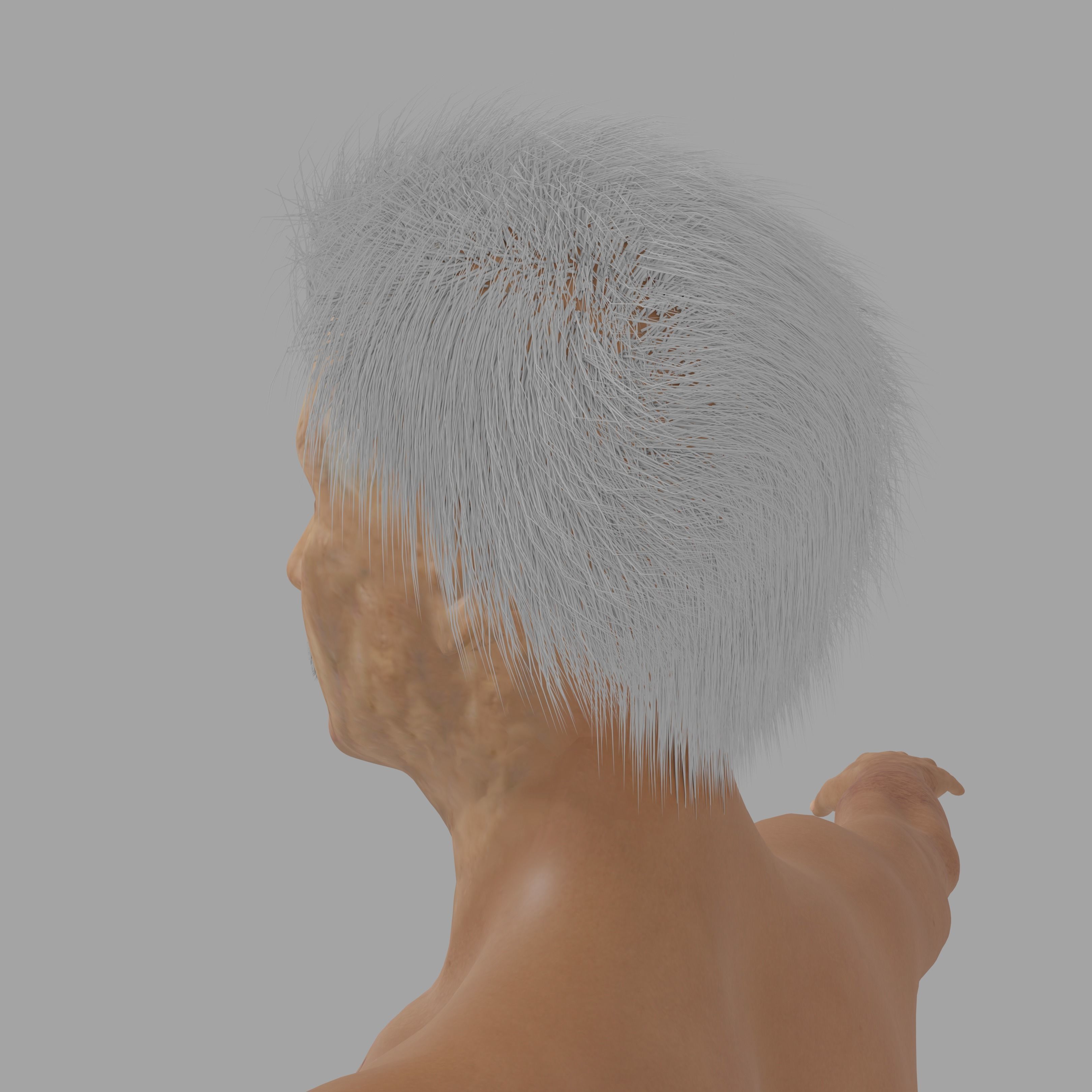 Albert Einsten Low-poly 3D model_8