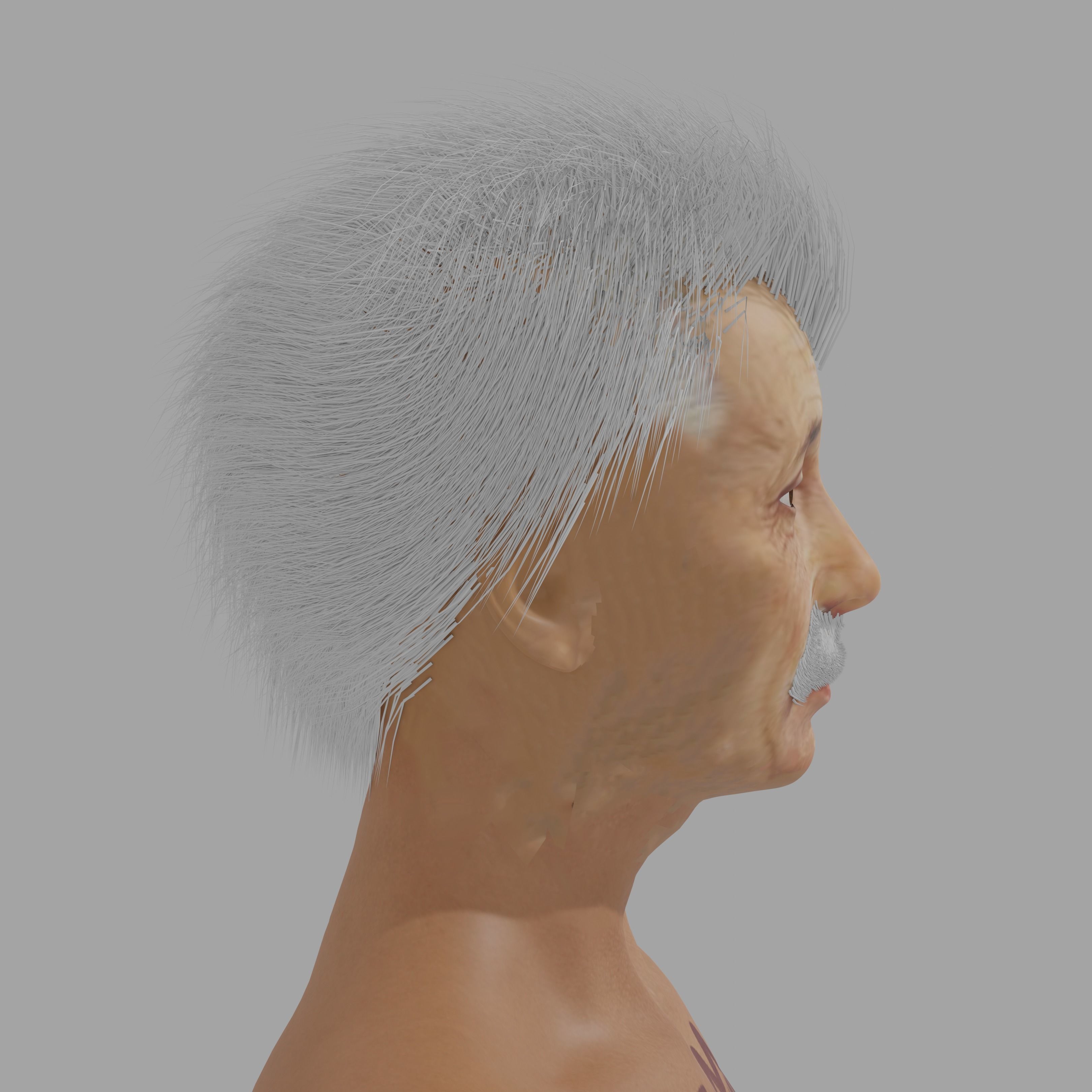 Albert Einsten Low-poly 3D model_10