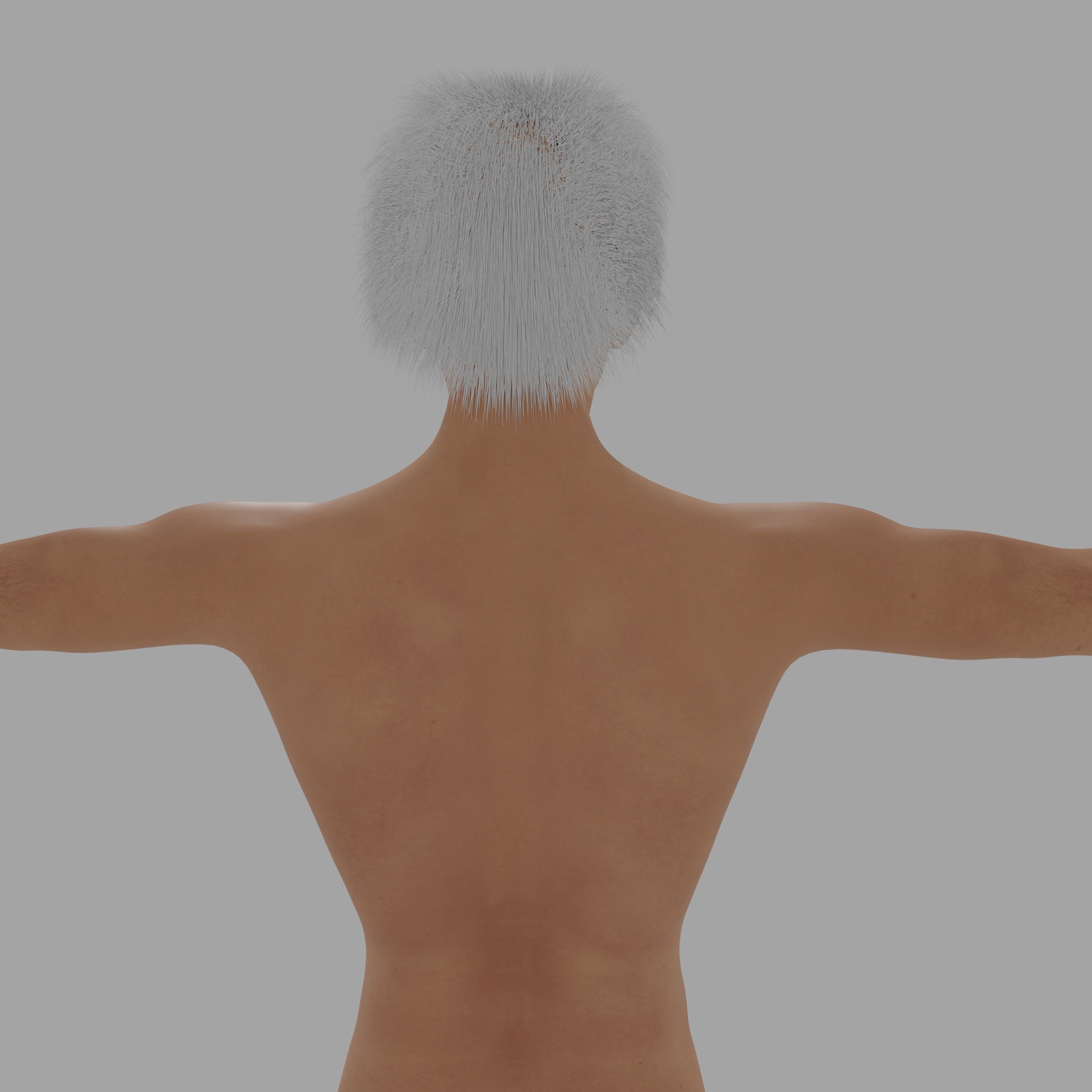 Albert Einsten Low-poly 3D model_2