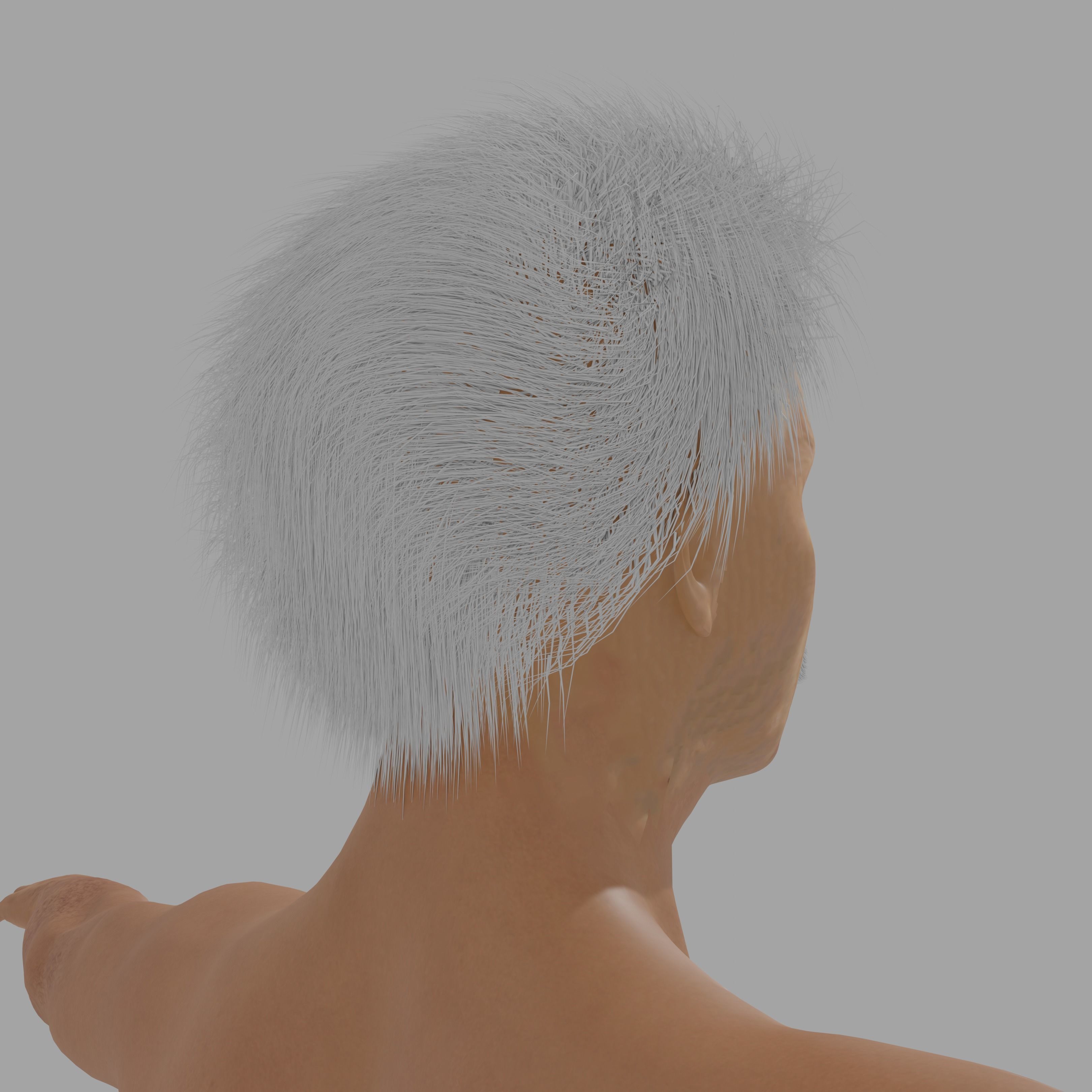 Albert Einsten Low-poly 3D model_9