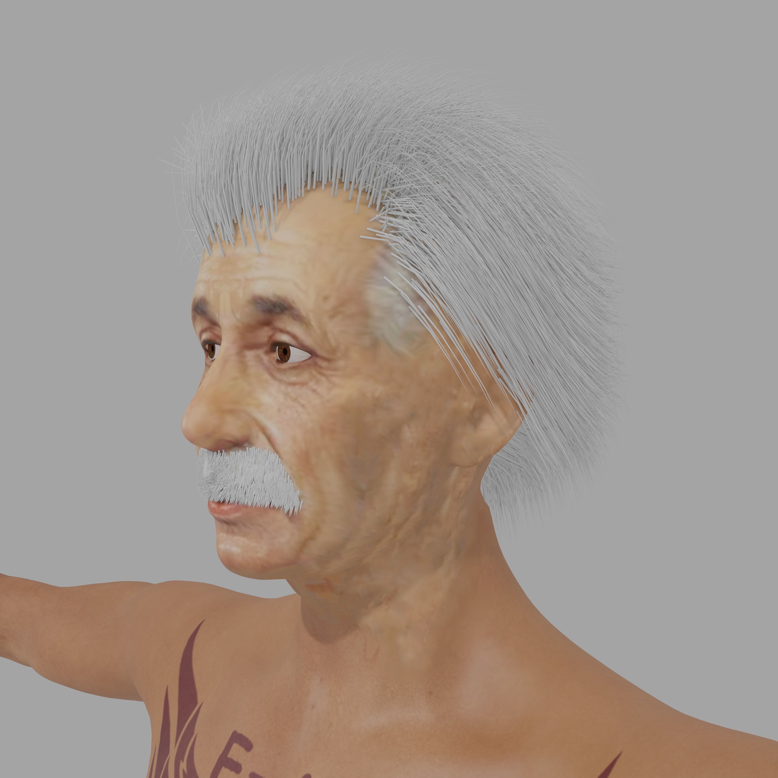Albert Einsten Low-poly 3D model_11