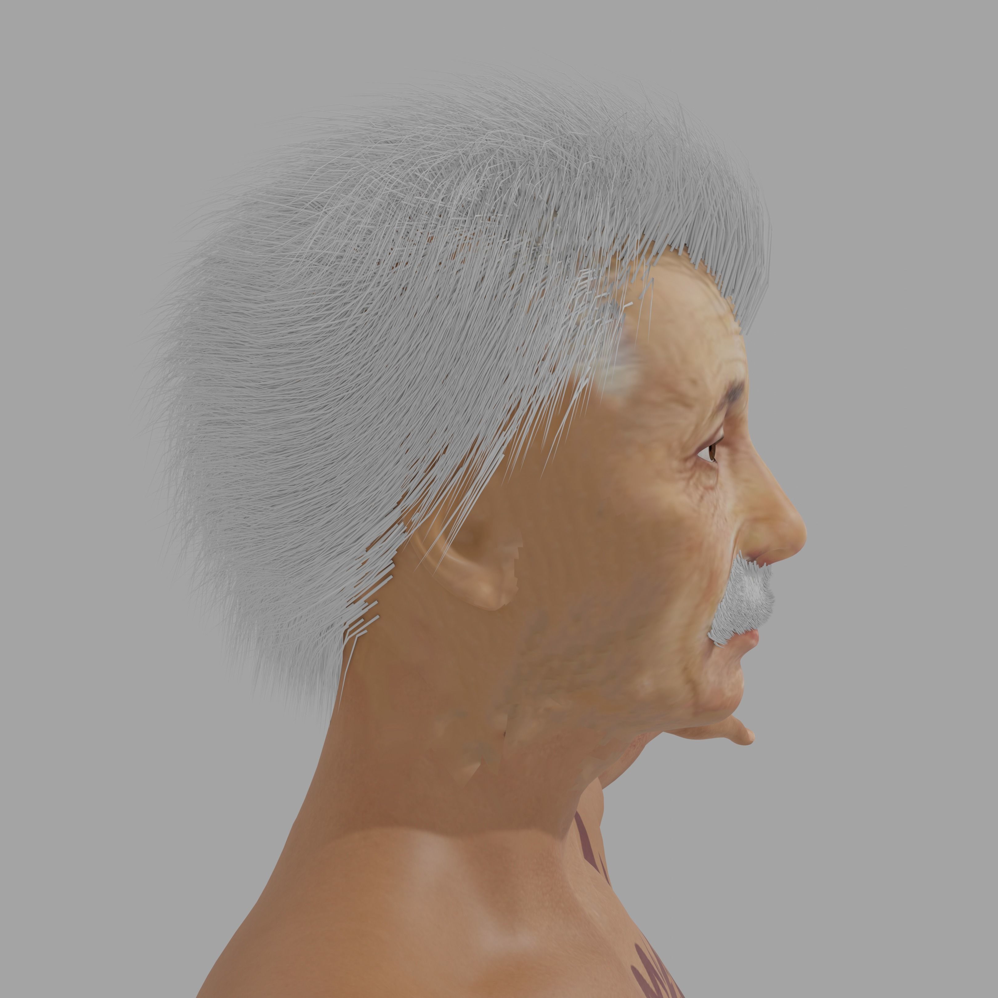 Albert Einsten Low-poly 3D model_7