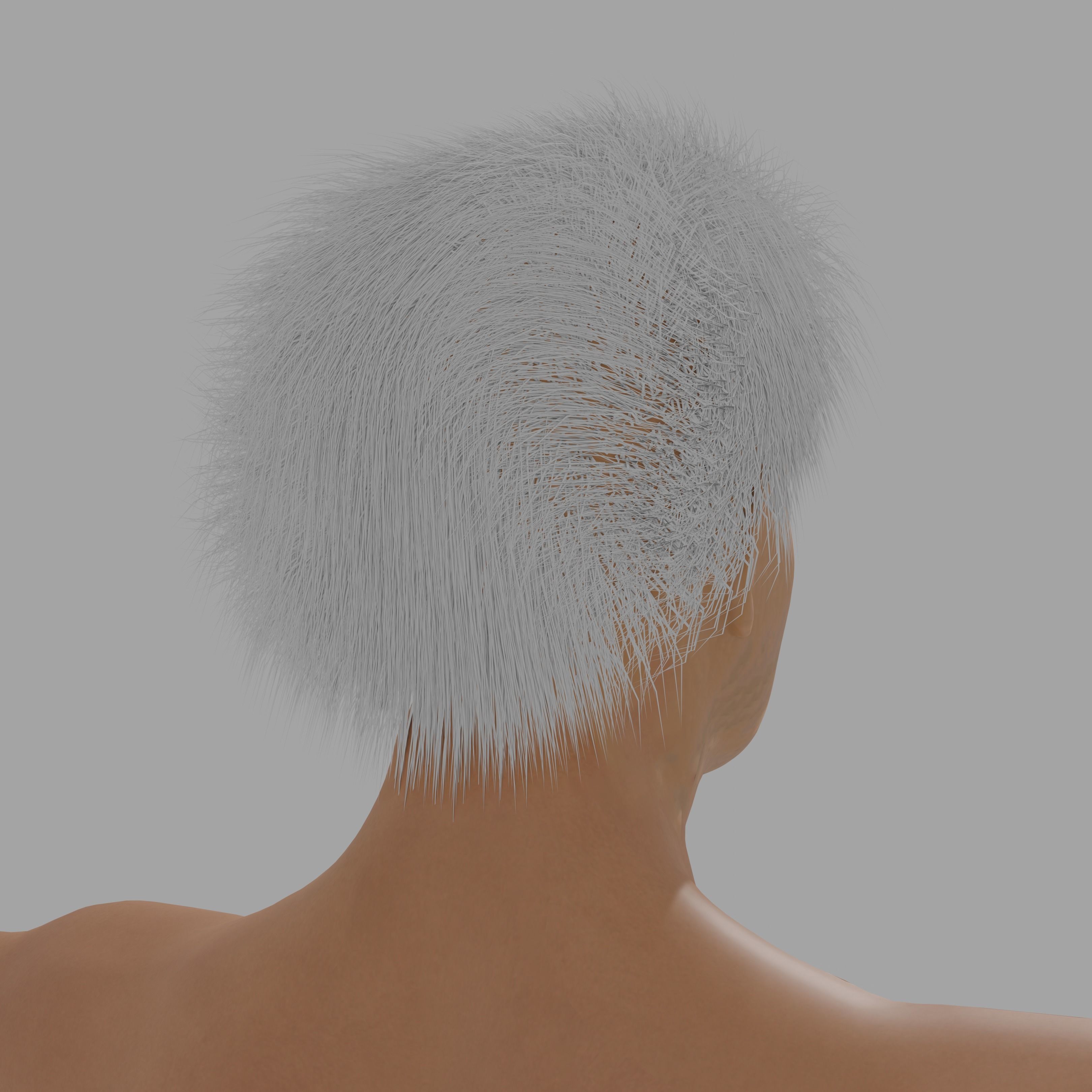 Albert Einsten Low-poly 3D model_12