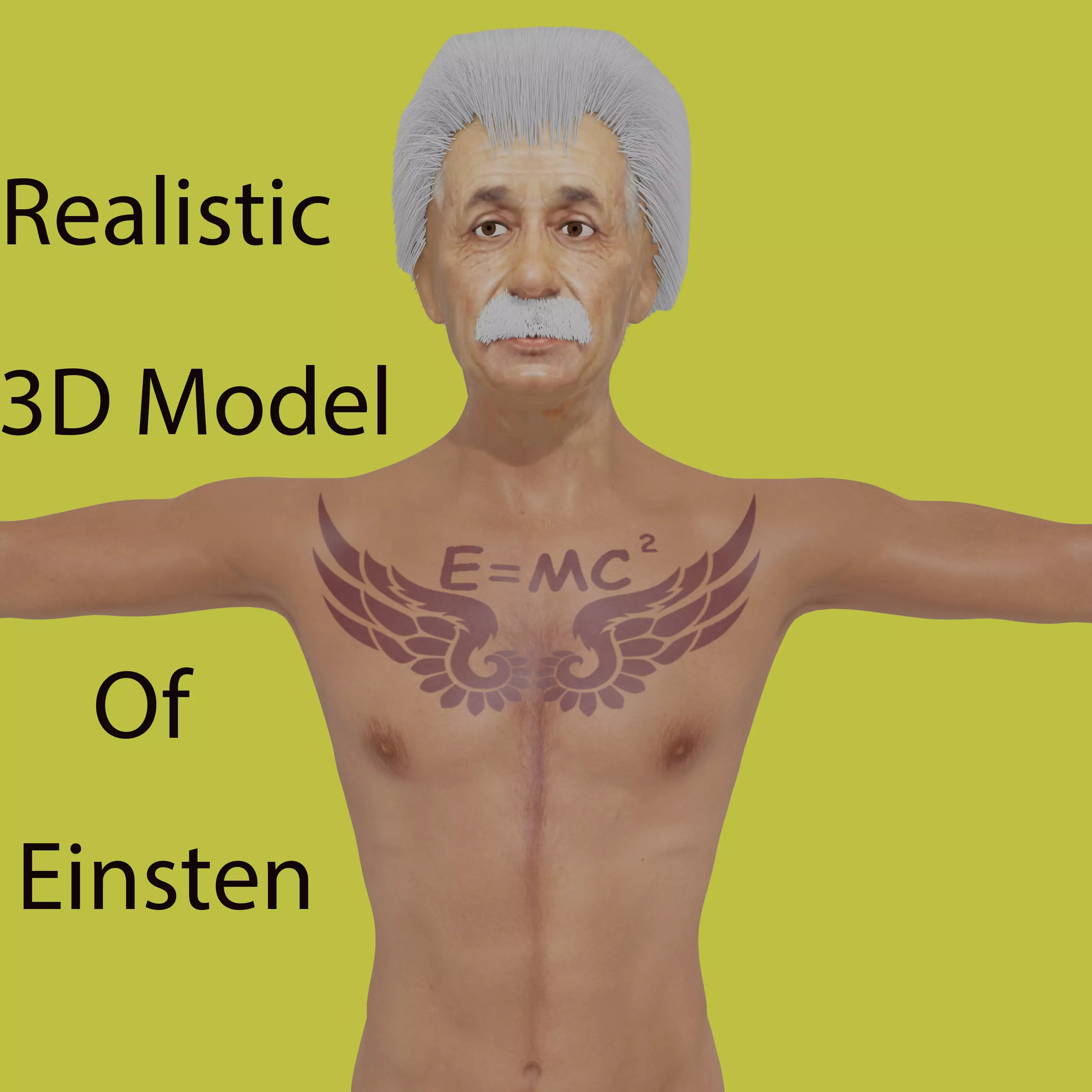 Albert Einsten Low-poly 3D model_0