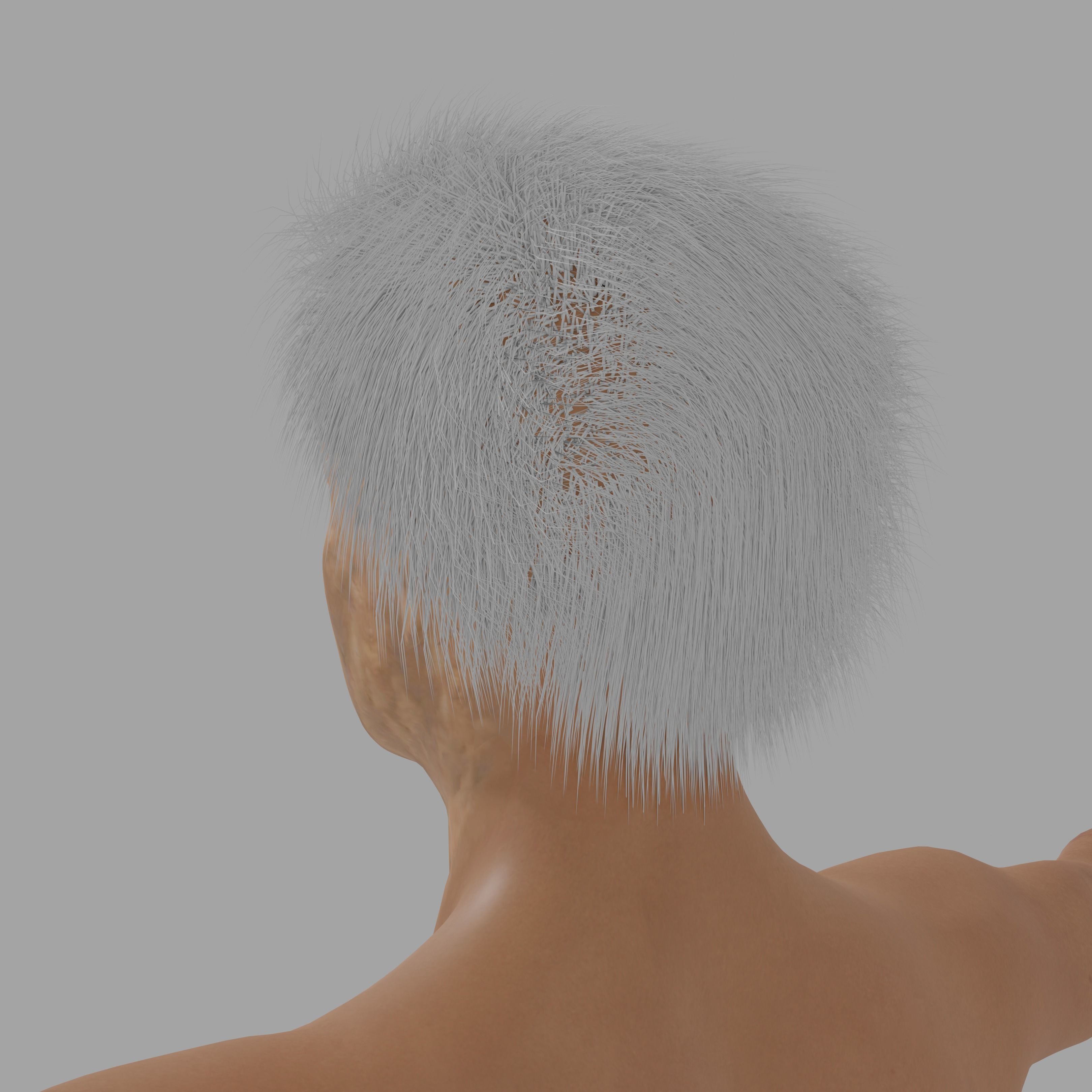 Albert Einsten Low-poly 3D model_14