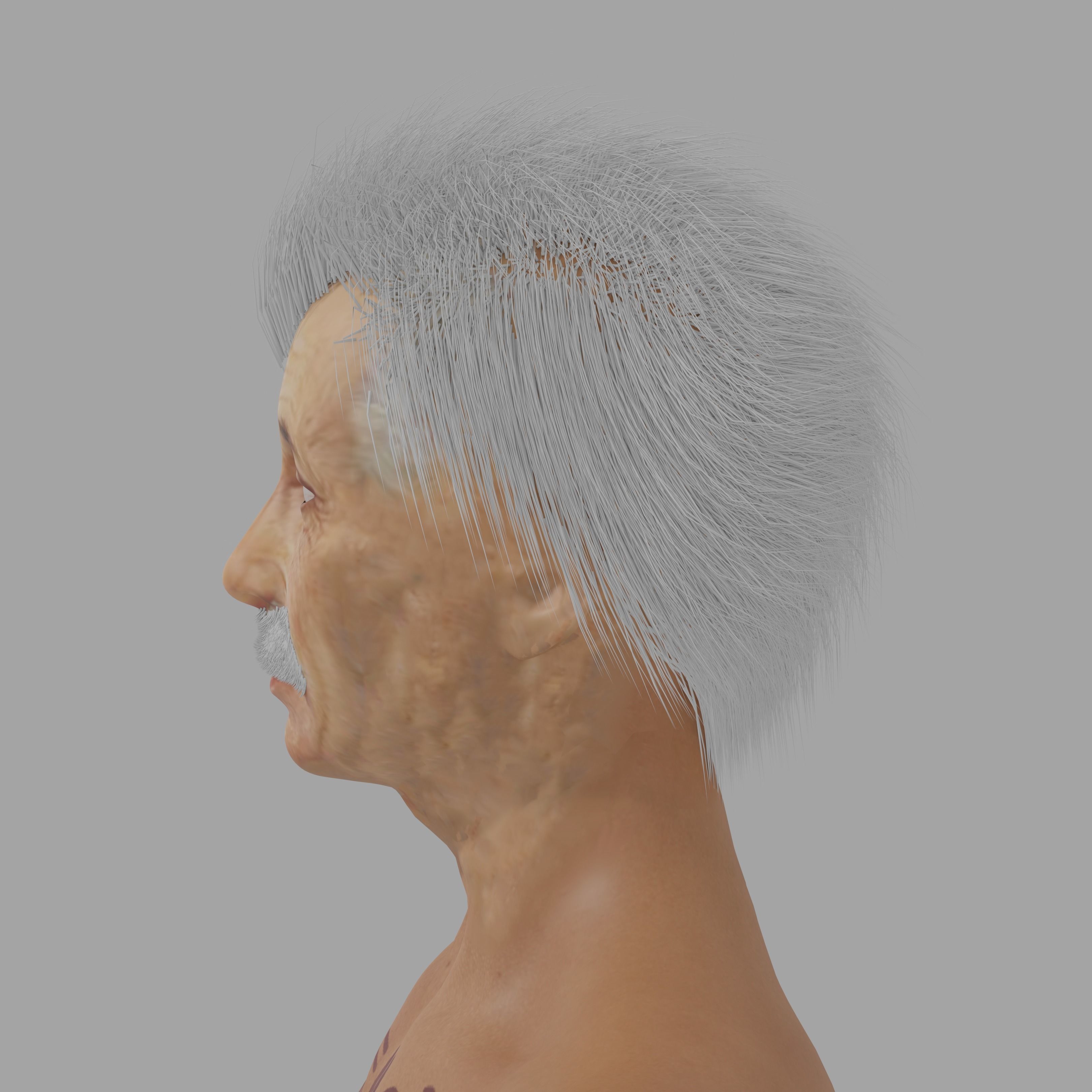 Albert Einsten Low-poly 3D model_15