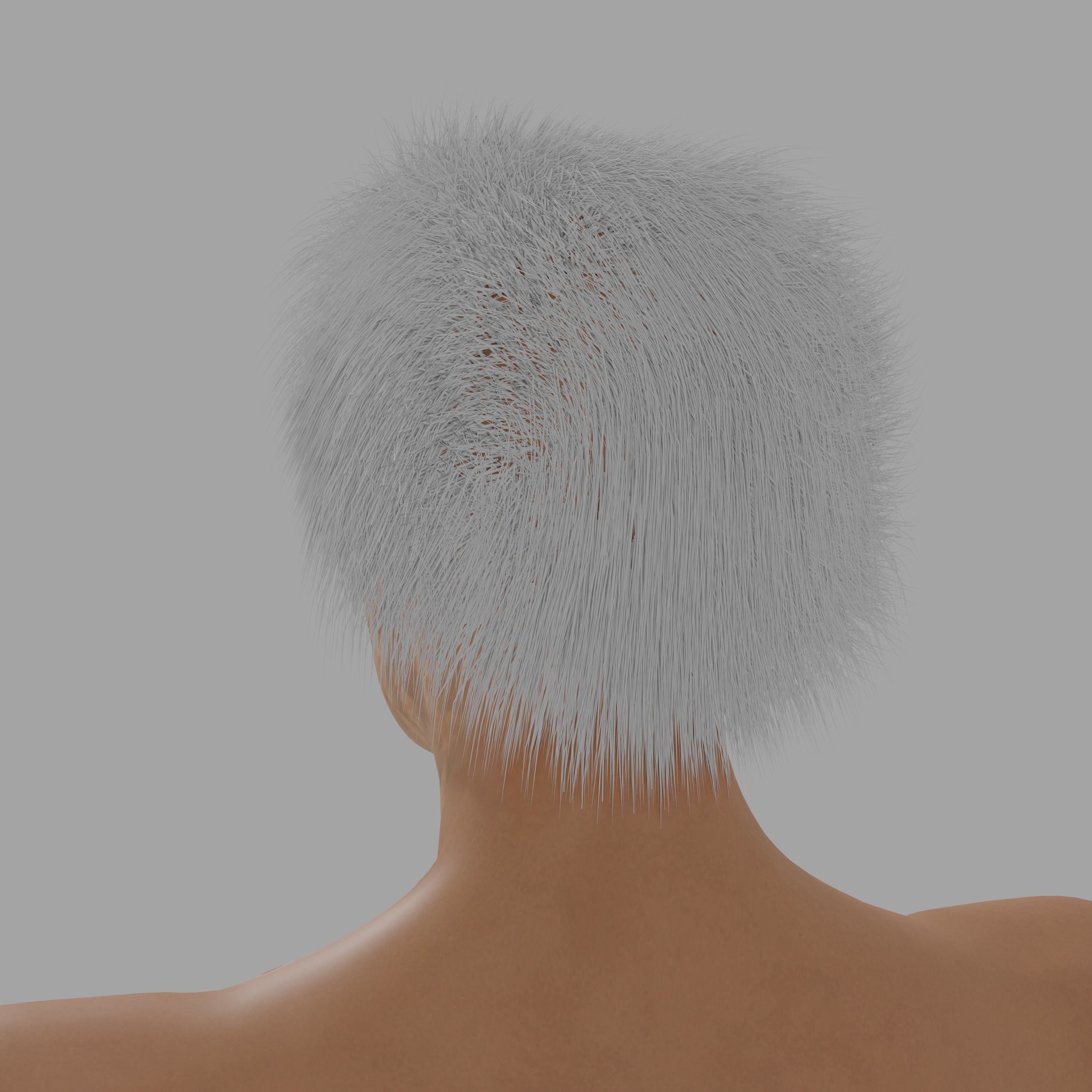 Albert Einsten Low-poly 3D model_13