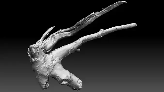 Tree root 3d scan in highpoly