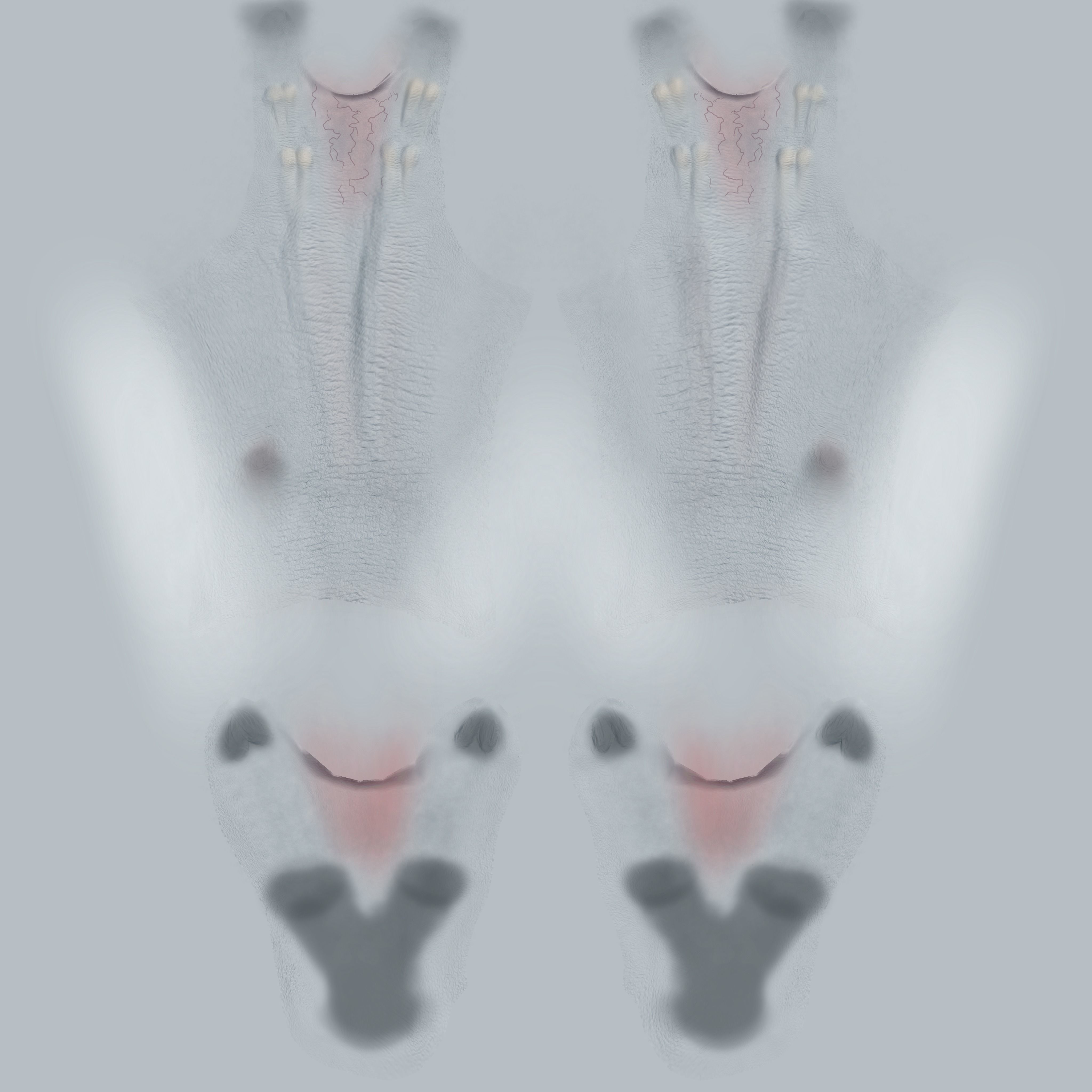 the braniac Low-poly 3D model_43