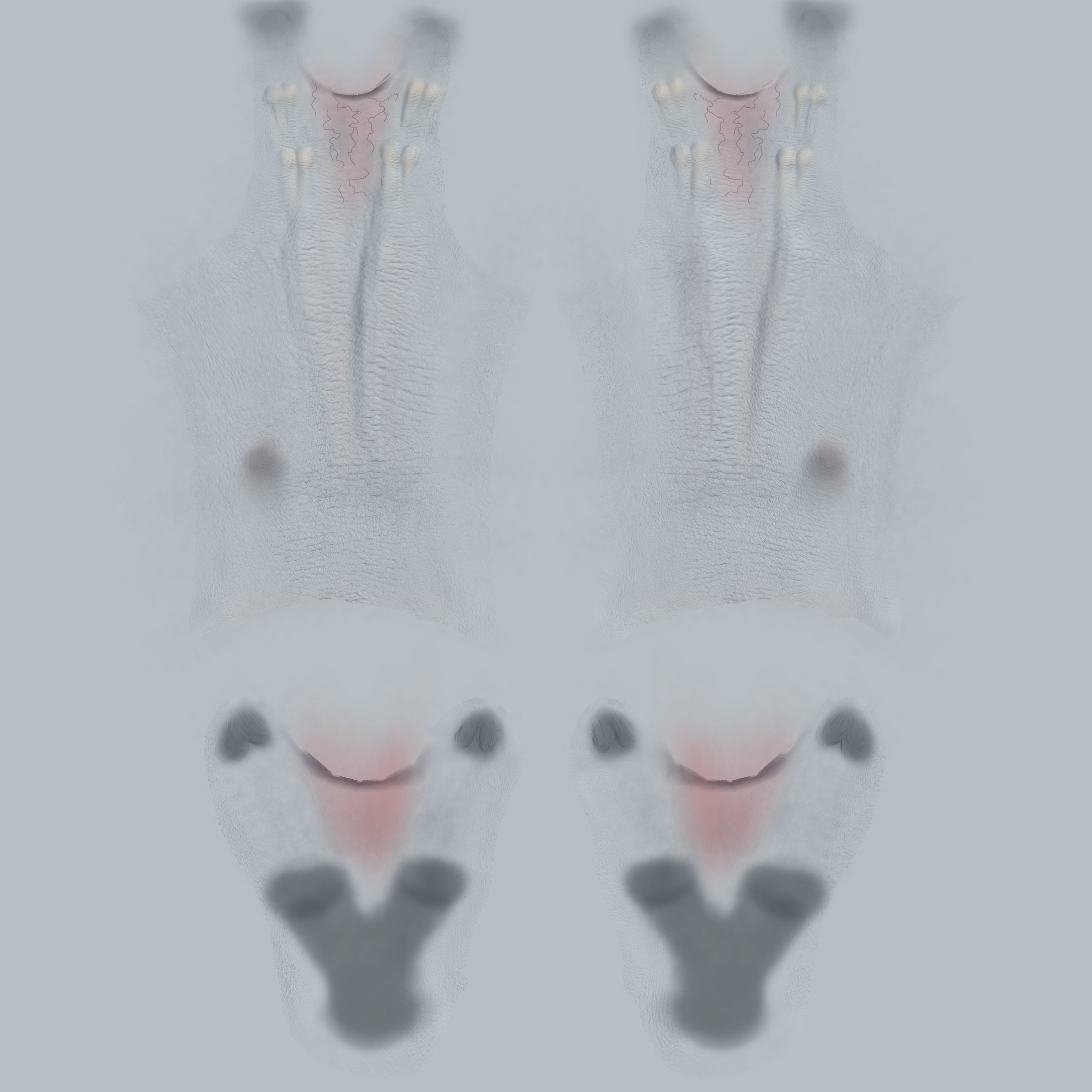 the braniac Low-poly 3D model_41