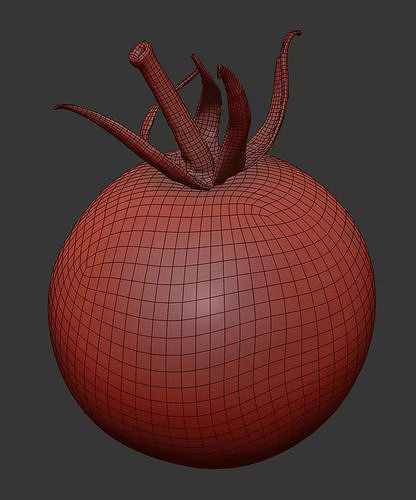 Tomato 3D model 7