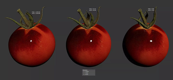 Tomato 3D model 6