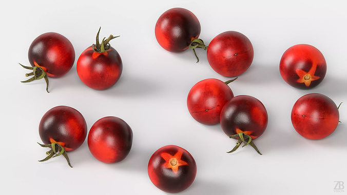Tomato 3D model 3